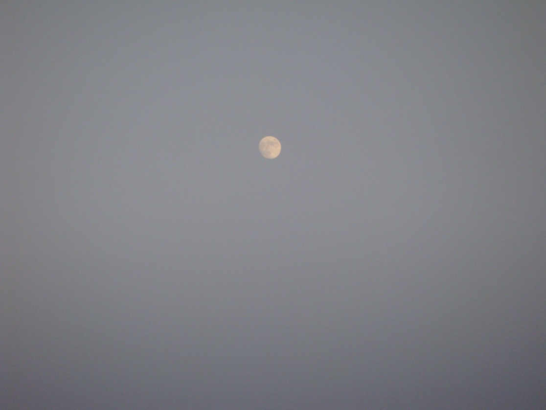 luna