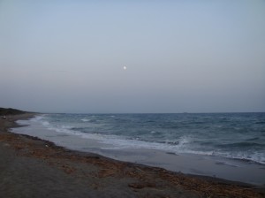 Pescia Romana è un buono spot per il surfcasting