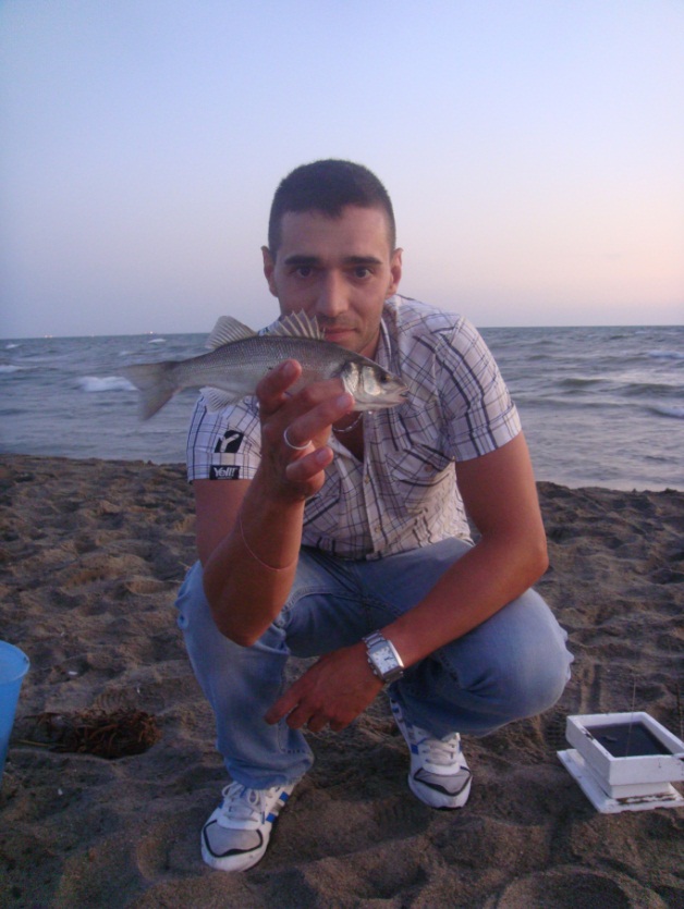 Spigola tefano
