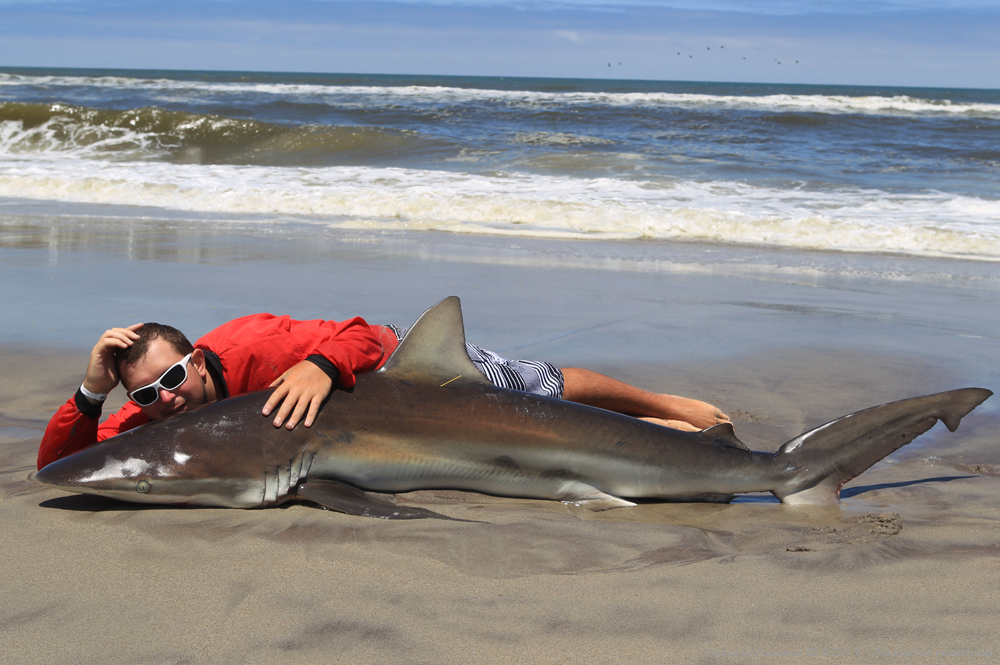 Vittoria Azzano in posa con un squalo pescato a surfcasting