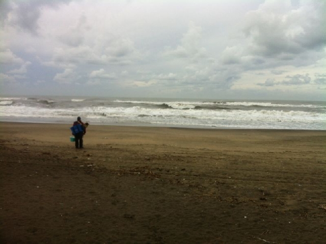 Surfcasting Foce Verde