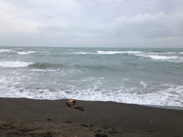 surfcasting dentro la buca