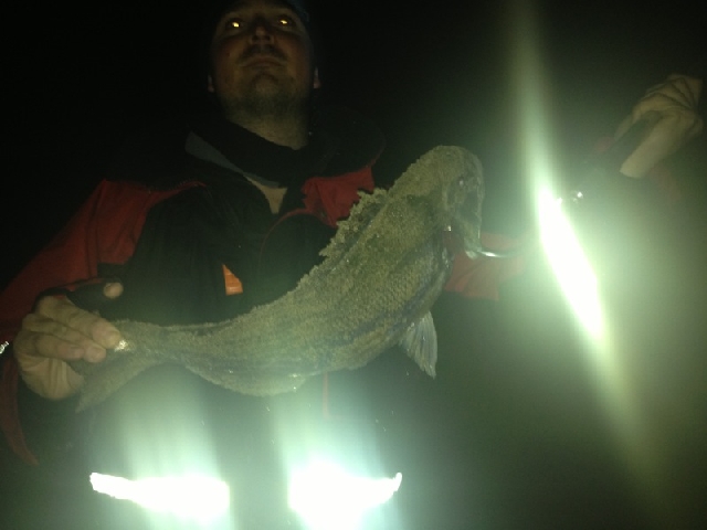 orata da due chili catturata a surfcasting