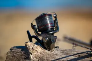 Mulinelli per il surfcasting taglia 14000 Shimano