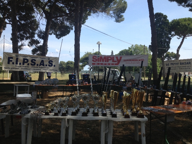coppe mormora d'ora 2013