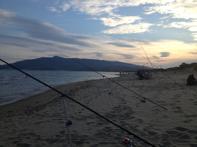 mormora d'ora 2013