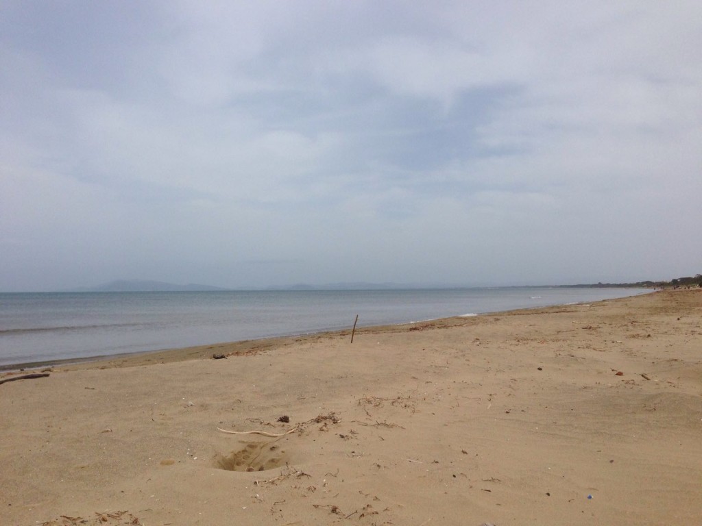 pesca a fondo orate