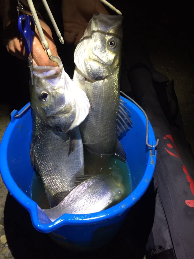 Surfcasting alla spigola IMG-20170208-WA0002