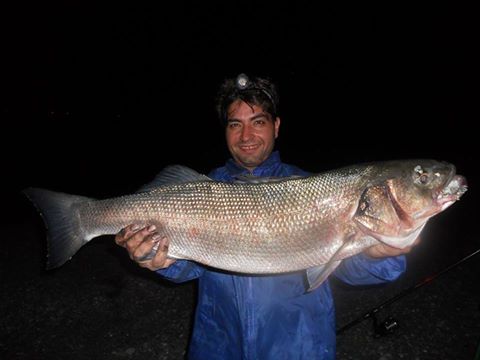 Surfcasting Messina