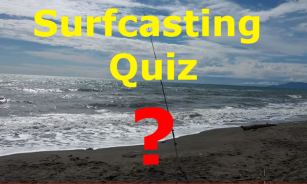 Surfcasting Quiz: sei pronto a rispondere?