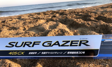 Shimano Surf Gazer