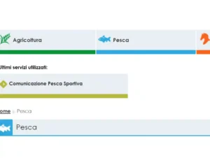 Comunicazione Pesca sportiva