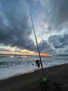 Montature surfcasting: la guida definitiva ai travi per la spiaggia